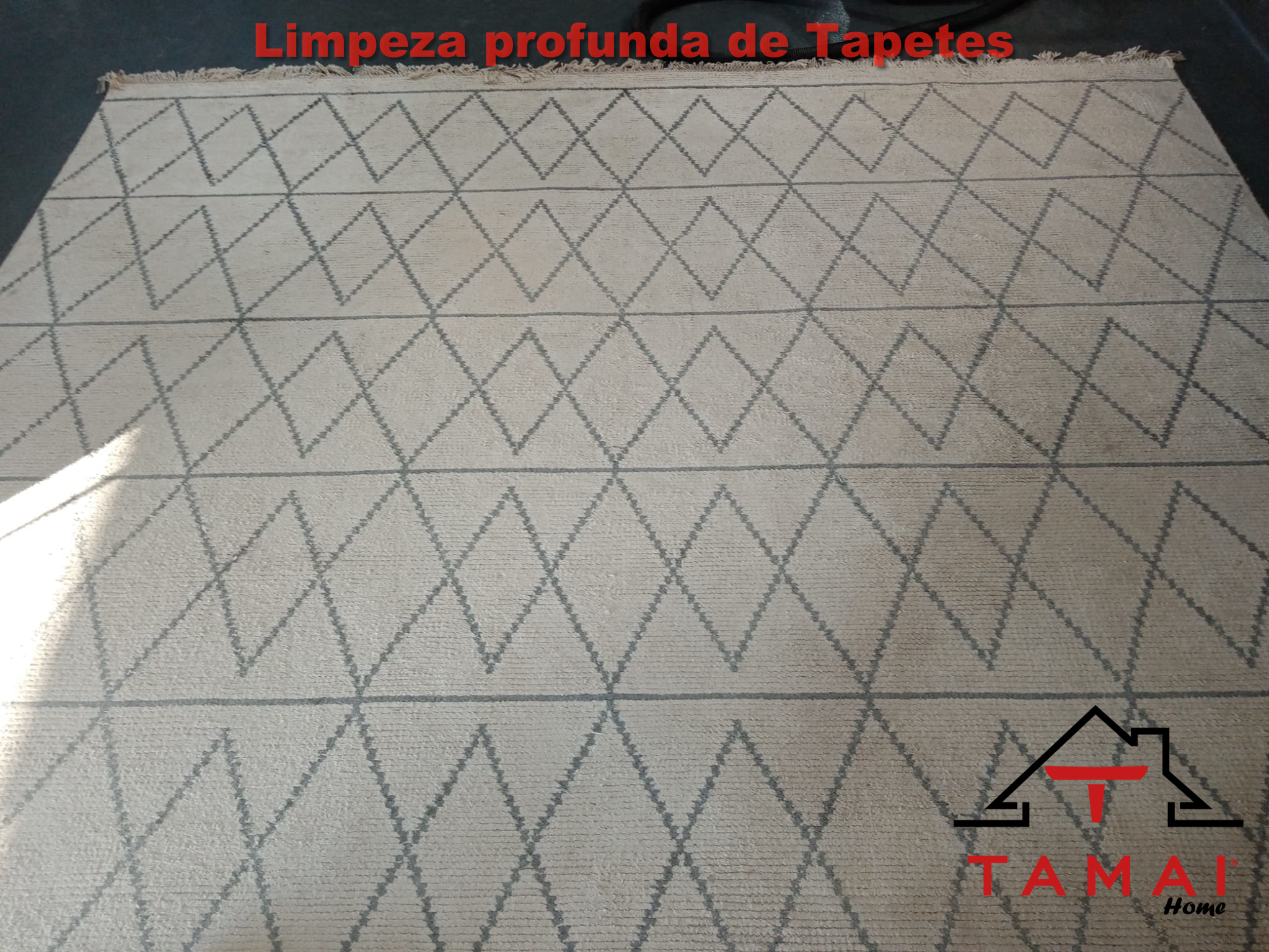 Limpeza de tapete