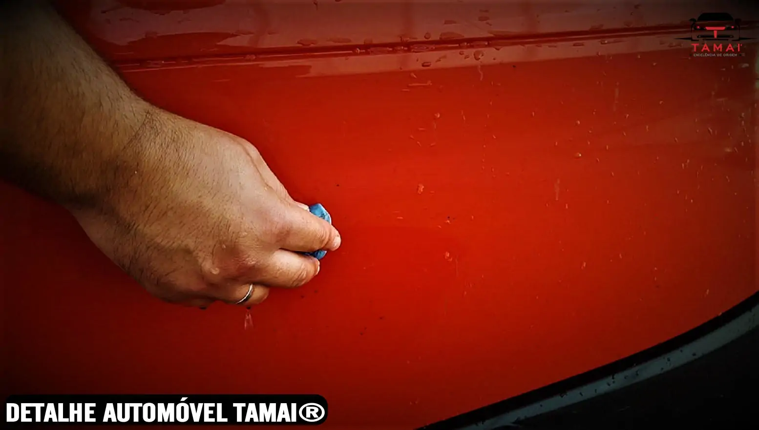 Detalhe automovel