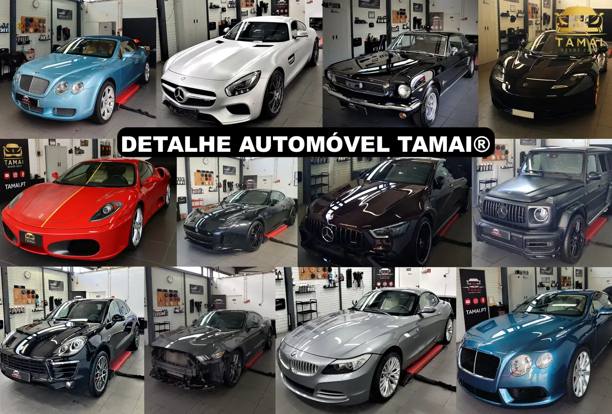 detalhe automóvel Tamai