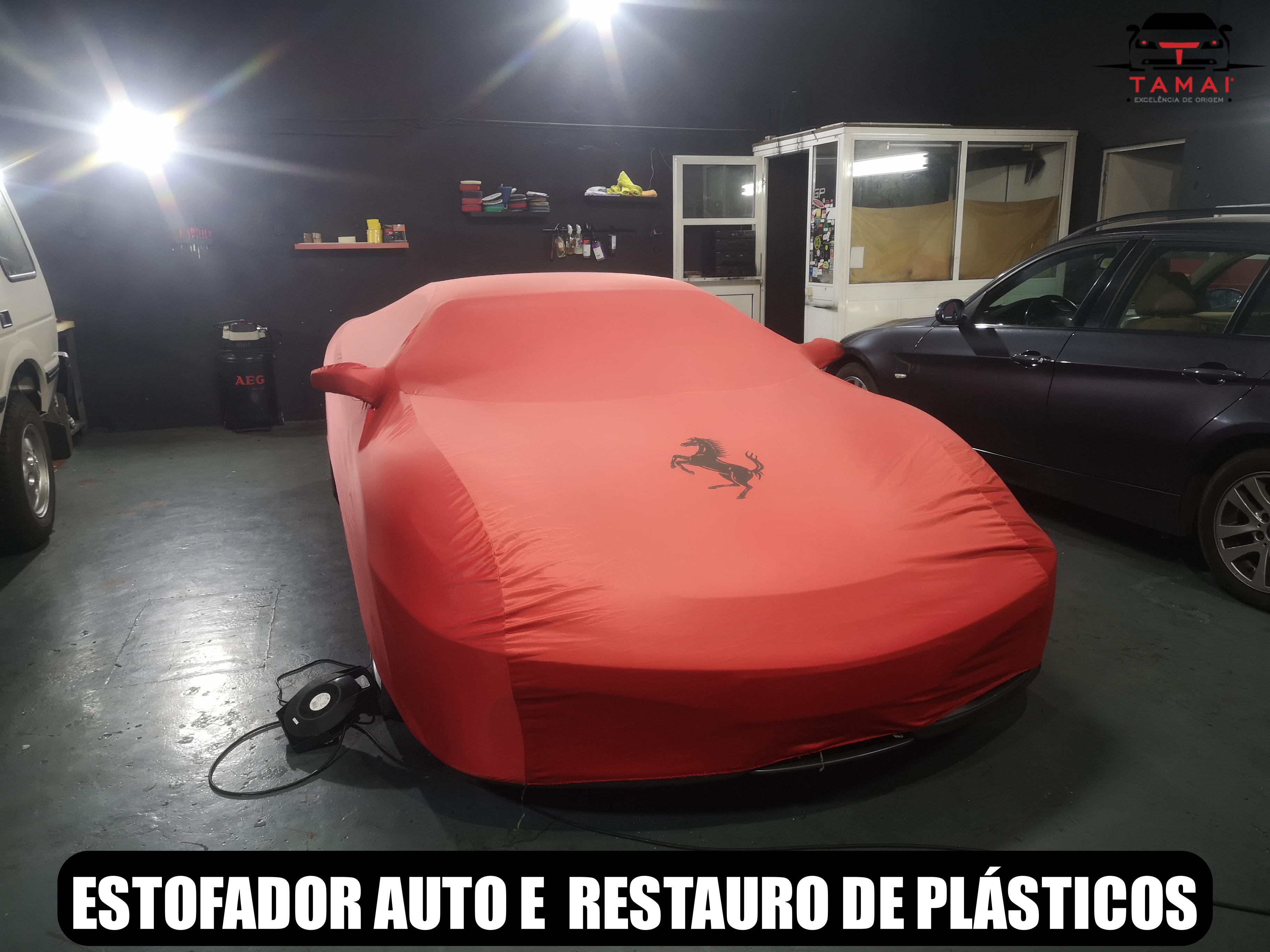 Ferrari - estofador e restauro de plásticos